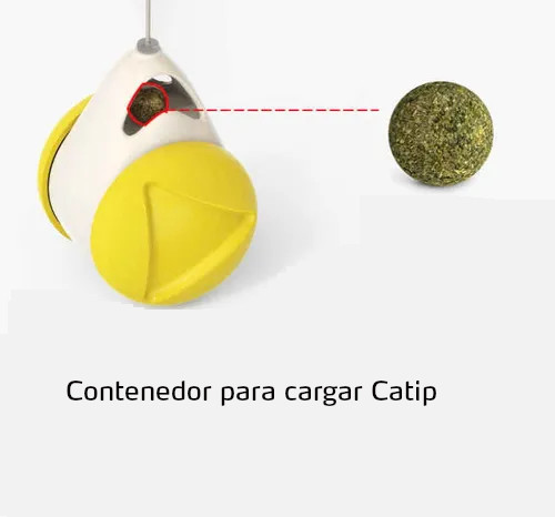 Interactivo Balance - Image 5